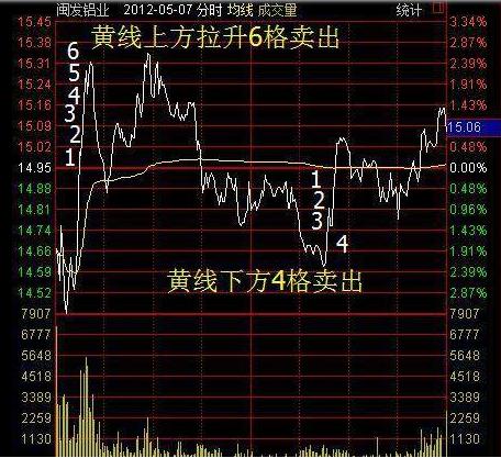 体育风采 第48页