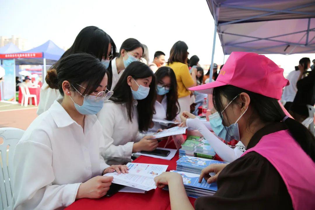 就业保障助力，新政策助力再就业之旅