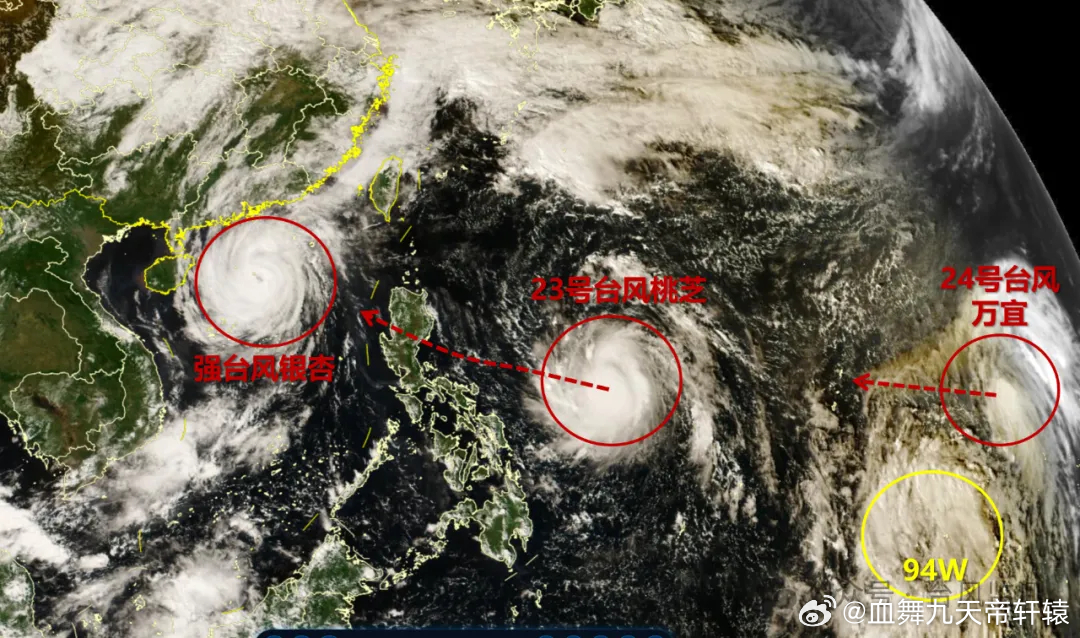 “2024年台风最新动态”