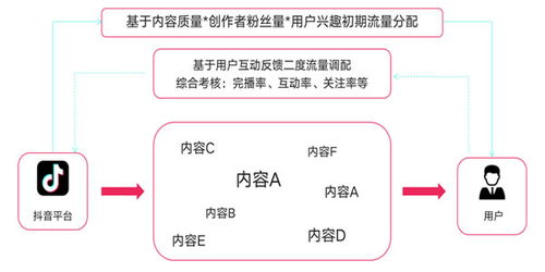 抖音多账号运营秘籍：一证解锁多重身份的实用技巧大揭秘