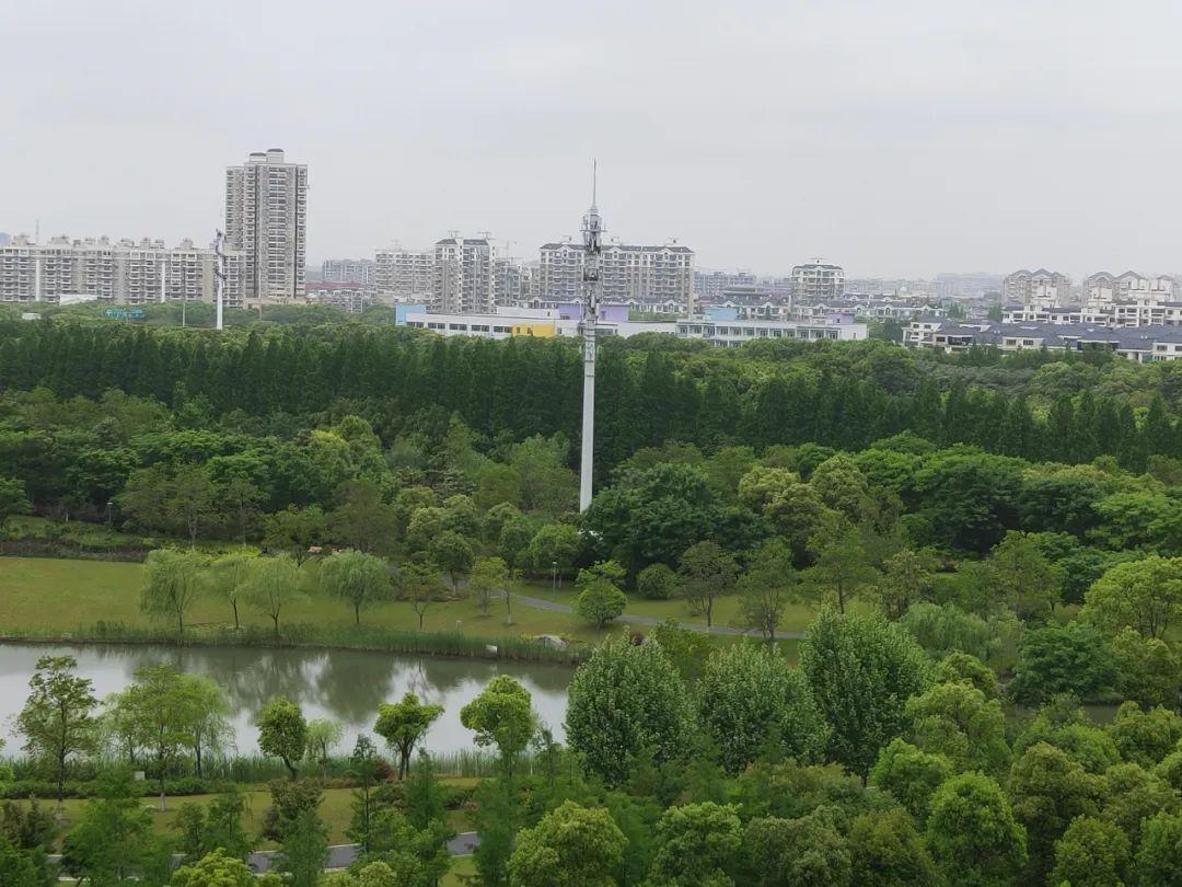 今日无锡土地拍卖最新动态盘点揭晓！