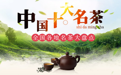 探寻前沿：全新上市的茶叶品种大盘点